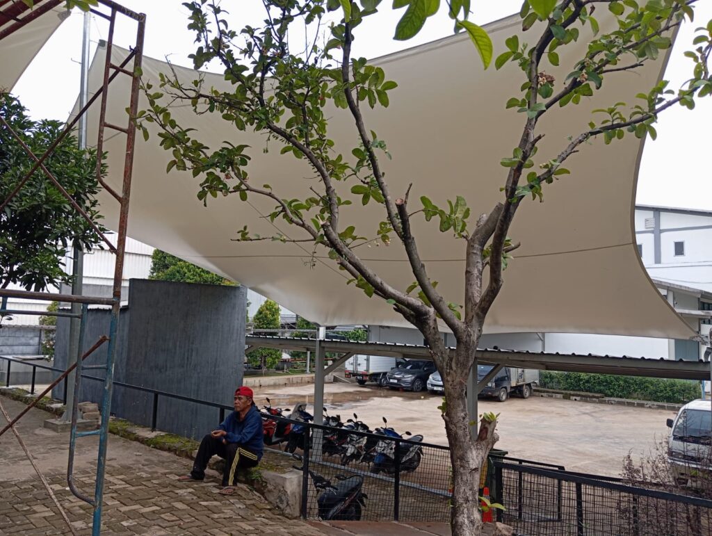 canopy membrane model shading layar